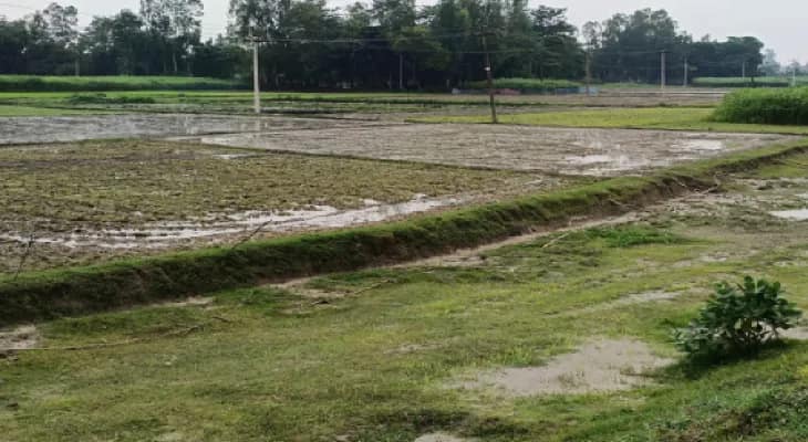 জাতীয় সড়কের জমি দখলমুক্ত করল পুলিস