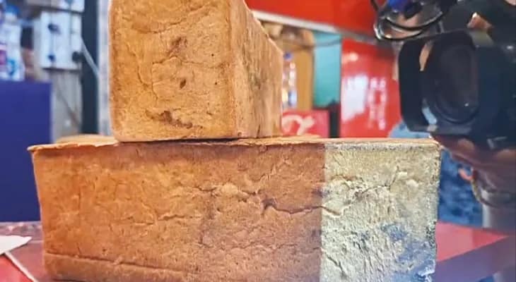 পাউরুটিতে ফাঙ্গাস, আইসক্রিমে আরশোলা! চাঞ্চল্য শিলিগুড়িতে