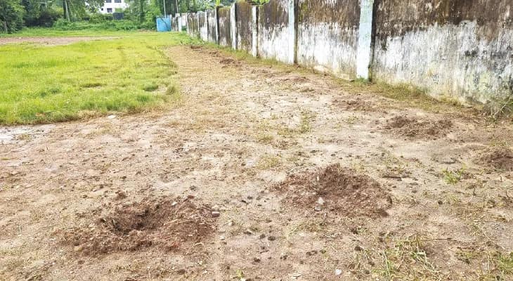 বাঁকুড়ায় বনমহোৎসবে রোপিত গাছ উধাও, চুরি করা চারাও যত্ন করে লাগান, বার্তা বনদপ্তরের