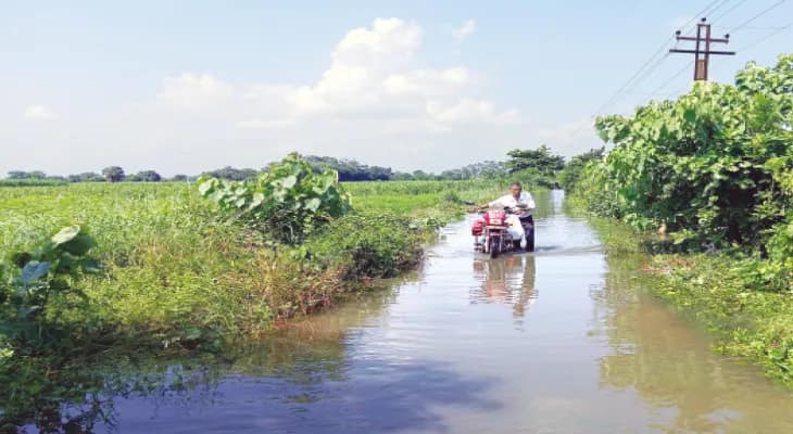 অজয়-ভাগীরথীর জল বাড়ছে, কাটোয়া, নদীয়ায় প্লাবিত বিস্তীর্ণ এলাকা, যোগাযোগ বিচ্ছিন্ন
