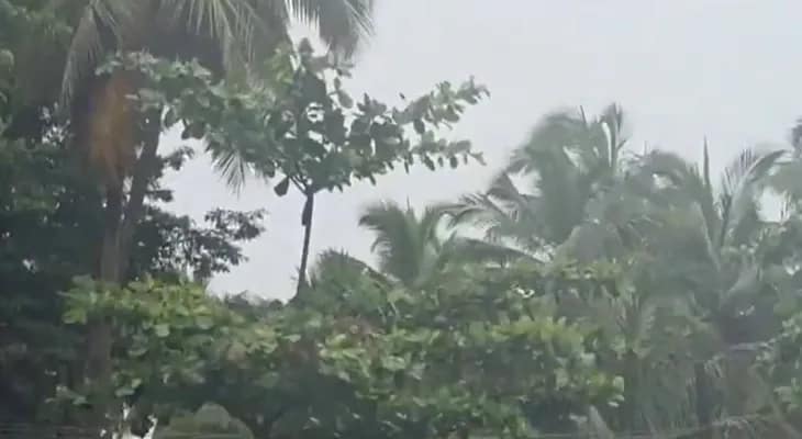 কর্ণাটকের মেঙ্গালুরুতে ভারী বৃষ্টির জেরে স্কুল ও কলেজে ছুটির ঘোষণা