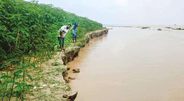 জলস্তর কমতেই মানিকচকে ভাঙন শুরু, গোপালপুরে গঙ্গায় তলিয়ে গেল ২০০ মিটার এলাকা