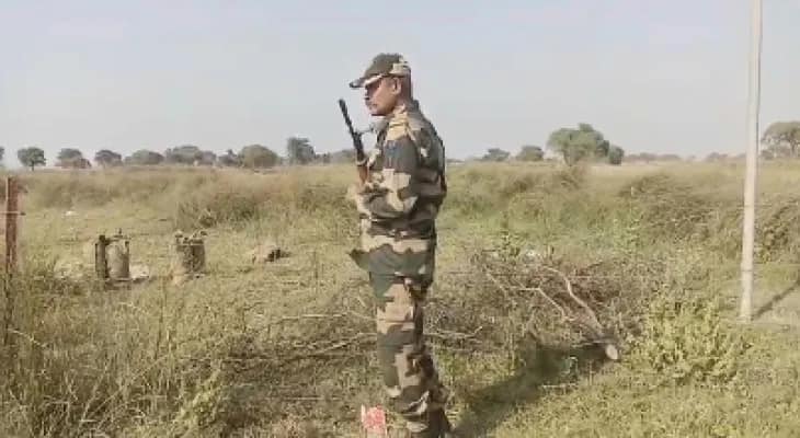 রাতে পাটগাছের আড়ালে গবাদি পশুর অবাধ পাচার বাংলাদেশে