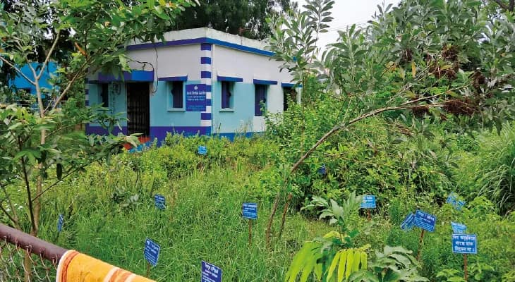 পরিচর্যার অভাবে আগাছায় ঢেকে গিয়েছে ভেষজ বাগান