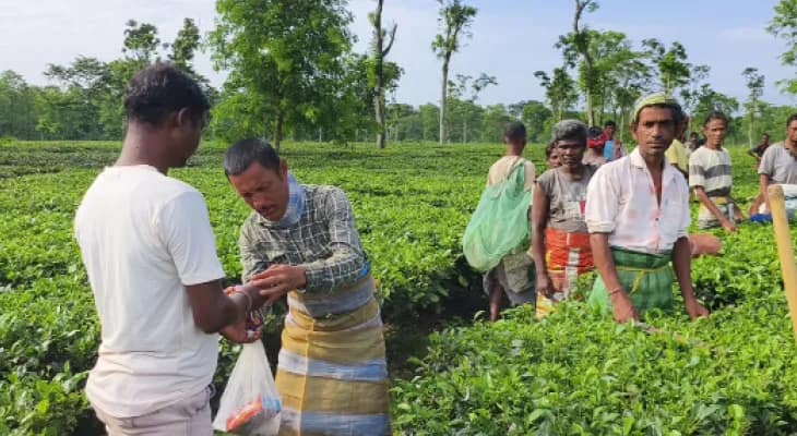 শিশু তুলে নিয়ে যাওয়ার ৭২ ঘণ্টা পরও অধরা চিতাবাঘ