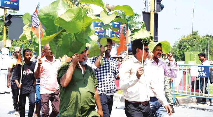বিজেপির উত্তরকন্যা অভিযান জমল না, গরহাজির দলের বহু সাংসদ, বিধায়কই