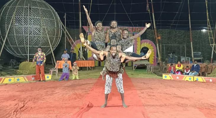 গাজোলের গোরুহাটিতে সার্কাস, দর্শকদের মাতিয়ে রাখছেন দক্ষিণ আফ্রিকার জিমন্যাস্টরা