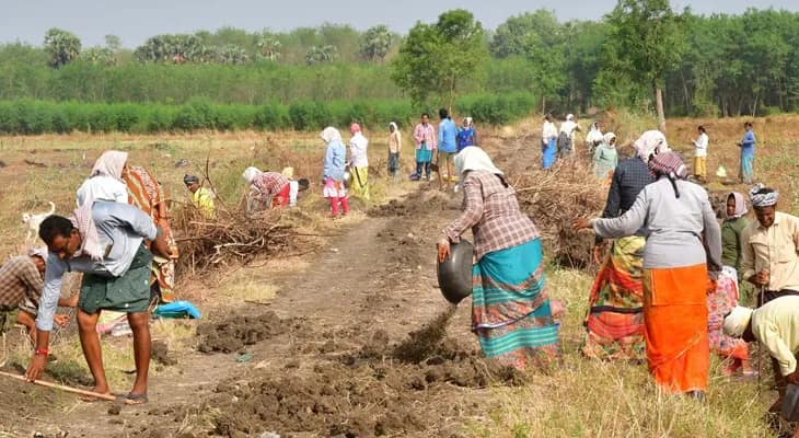 দু’টি ভুয়ো কার্ডেই বাংলায় বন্ধ ১০০ দিনের কাজ, ডাবল ইঞ্জিন রাজ্যে অসংখ্য, সংসদে তথ্য কেন্দ্রের, ১ আগস্ট চালু নিয়ে নিশ্চুপ