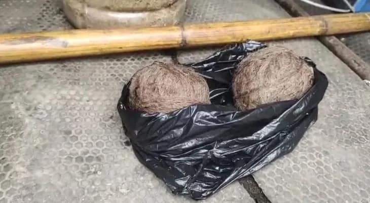 শাসনে পঞ্চায়েত প্রধানের পাড়া থেকে উদ্ধার পাঁচটি তাজা বোমা, চাঞ্চল্য