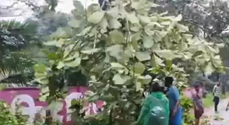 ঝড়-বৃষ্টির জেরে ব্যাপক ক্ষয়ক্ষতি হয়েছে কেরলের মলপ্পুরমে, ভেঙে পড়েছে একাধিক গাছ, বিপর্যস্ত জনজীবন