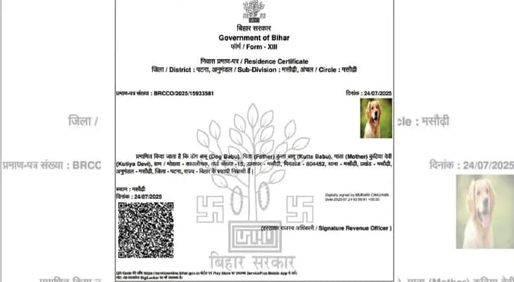 বাংলায় ভোট লুটের চেষ্টা, ২৬’এ বড় শিক্ষা পাবে বিজেপি, বিহারে কুকুরের নামে শংসাপত্র তথ্য দিয়ে অভিযোগ অভিষেকের