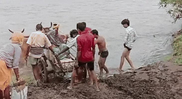 গোরুর গাড়িতে নদী পার, প্রসূতিকে হাসপাতালে নিয়ে যেতে তীব্র দুর্ভোগ