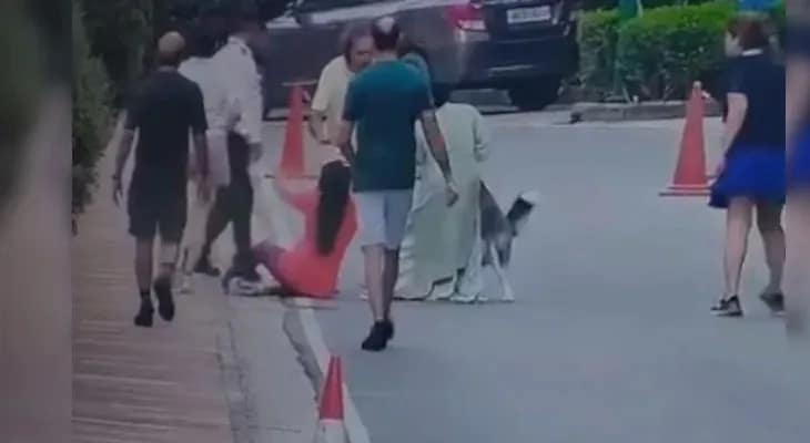 গুরুগ্রামে গল্ফ কোর্স রোডের একটি কমপ্লেক্সের মধ্যে এক মহিলাকে আচমকাই আক্রমণ করল পোষ্য কুকুর, হাতে কামড়, গুরুতর জখম পঞ্চাশোর্ধ্ব প্রৌঢ়া