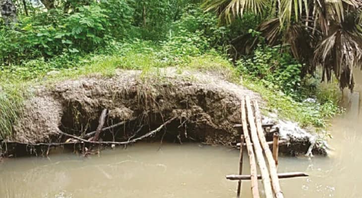 শ্যামপুর ২ ব্লকে বাঁধ ভেঙে জলমগ্ন ৩০০ বিঘা জমি