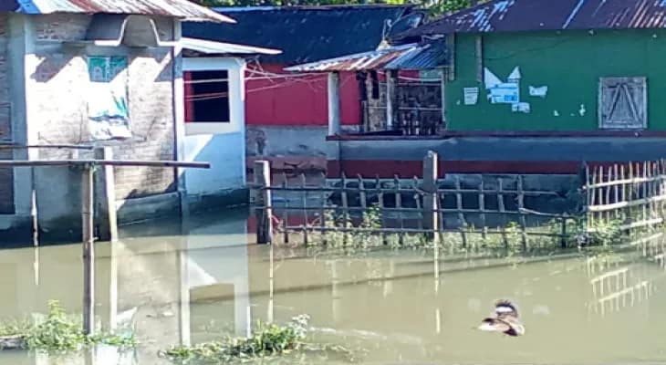 তিস্তার জলের তলায় ৩০০ বিঘা কৃষিজমি