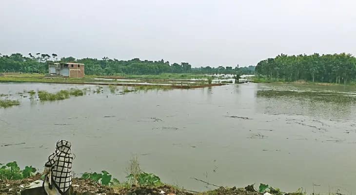 বৃষ্টিতে জলের তলায় জমি, মাথায় হাত সব্জি চাষিদের