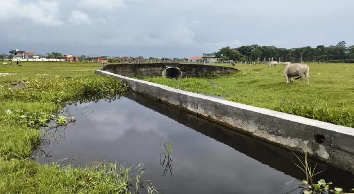 খেমচি নদীর পাড় দখল করে প্লটিং, জানেই না ভূমিদপ্তর