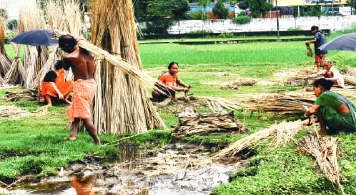 বৃষ্টিতে পাট চাষিদের মুখে হাসি