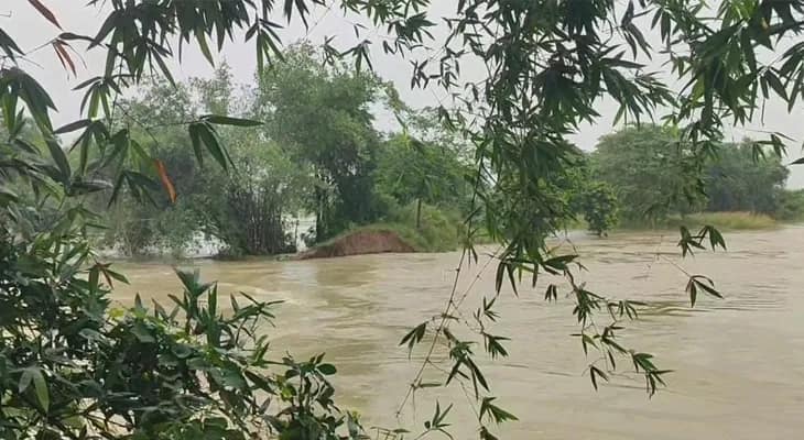 লাভপুরের খাঁপুরে কুয়ে নদীর উপরে থাকা বাঁধে ভাঙন