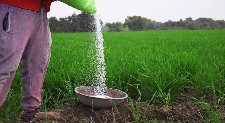 দক্ষিণ দিনাজপুরে সার বিক্রিতে অনিয়ম, সাসপেন্ড তিন ব্যবসায়ী