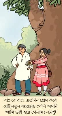 মজারু