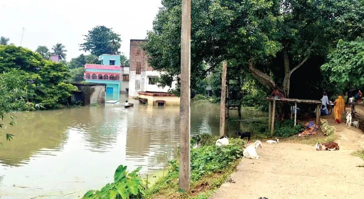 নদীর বাঁধ ভেঙে তিনদিন জলবন্দি সালেপুর, নেই বিদ্যুৎ-পানীয় জল, কান্দিতে সাপের উপদ্রবে ঘুম উড়েছে বাসিন্দাদের
