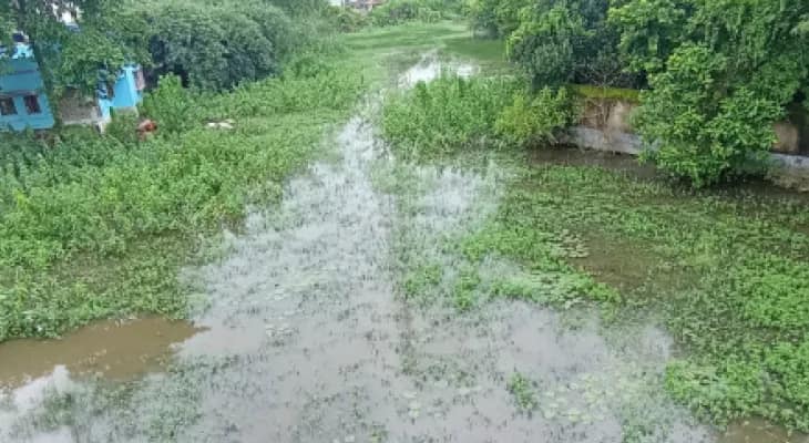 ঝাড়গ্রামের মানিকপাড়ায় নালার জমা জলে দুর্ভোগ, চুপ প্রশাসন