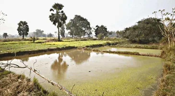 বাঁকুড়ায় ভূমি দপ্তরের আওতায় থাকা জলাশয়গুলি নিলামে তোলার উদ্যোগ