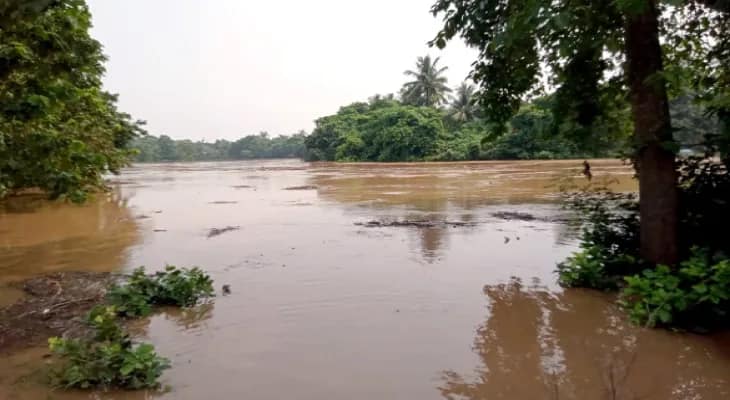 খড়গ্রামের ঝিল্লিতে ফের বন্যা, ব্রাহ্মণীর জলে প্লাবিত কৃষিজমি