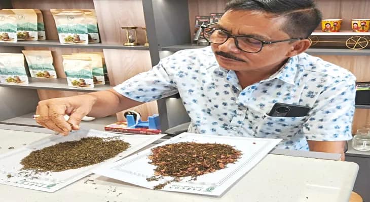 চায়ের এবার সোনালি স্বাদ, দুবাইয়ে যাচ্ছে মাঝেরডাবরির ‘গোল্ডেন টি’