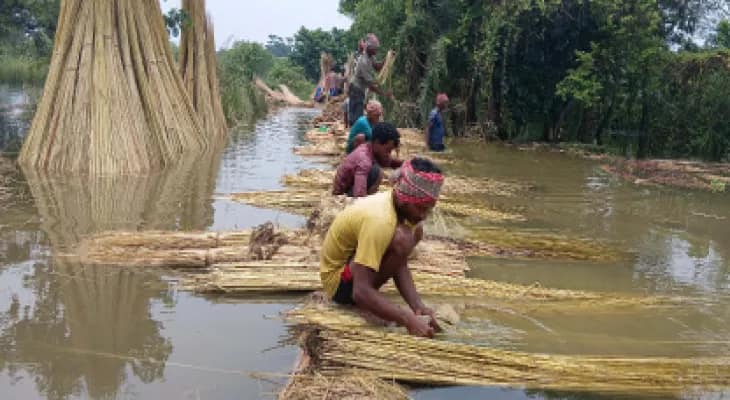 জাঁক দেওয়ার জলের অভাব না হওয়ায়, এবার পাটের গুণমান ভালো হওয়ায় লাভের আশায় চাষিরা