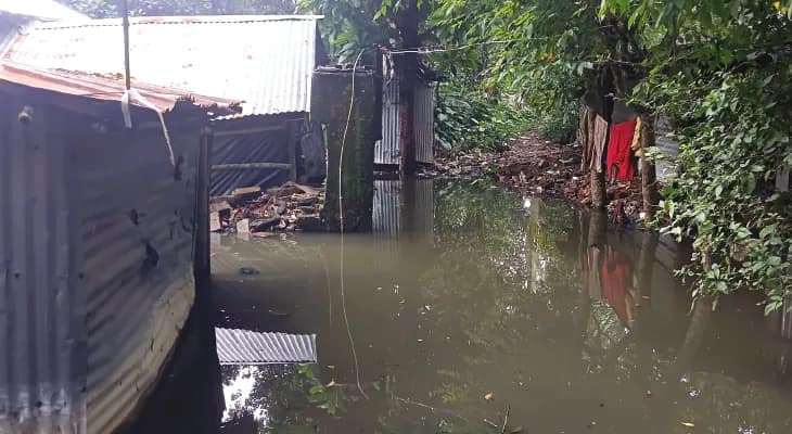 নোংরা জলে বন্দি কাটোয়ার দুই ওয়ার্ড, নিষ্কাশনে পাম্প লাগিয়েছে পুরসভা