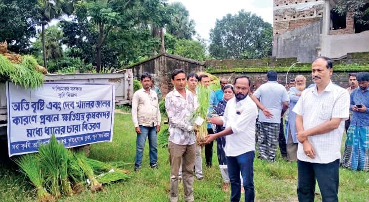 রায়না ও জামালপুরে চাষিদের বিনামূল্যে ধানের চারা বিতরণ