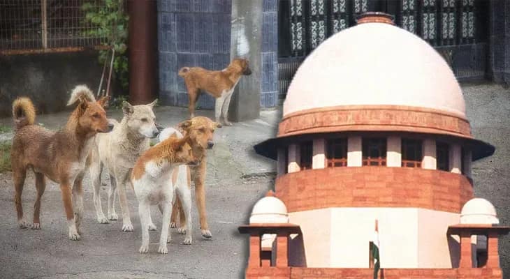 কামড়ানোই নয়, কুকুরের জন্য দুর্ঘটনাও ঘটতে পারে, মন্তব্য সর্বোচ্চ আদালতের