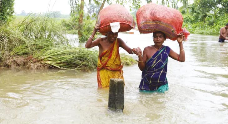 হুগলির ৪ ব্লকে ক্ষতিগ্রস্ত চাষিদের সরাসরি দেওয়া হচ্ছে ধানের চারা