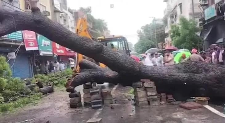 দিল্লিতে ভারী বৃষ্টির জেরে কল্কাজিতে উপড়ে পড়ল গাছ, মৃত ১, জখম ২
