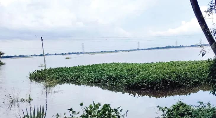 খড়গ্রামের উত্তরে বন্যা পরিস্থিতির উন্নতি, দক্ষিণে বাঁধ ভেঙে প্লাবন