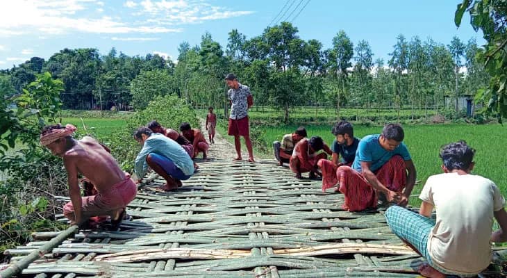 বেরুবাড়ি ২ পঞ্চায়েতে ভাঙা কালভার্ট, মাচা বসিয়ে পার হওয়ার ব্যবস্থা করলেন বাসিন্দারা