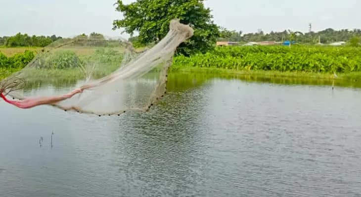 এবার মাছ চাষের জলাভূমির 'ই-অকশান' করবে রাজ্য, সংশোধনী ম্যানুয়ালে ছাড়পত্র মন্ত্রিসভার
