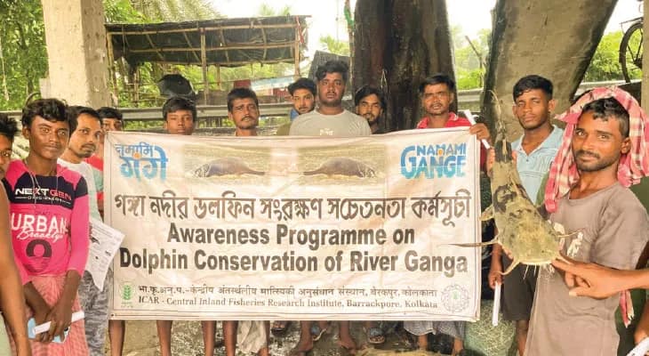 ক্রমশ কমছে গঙ্গার ডলফিন, সংরক্ষণে উদ্যোগ