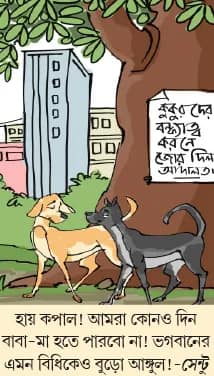 মজারু