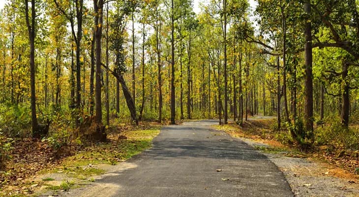 হোটেল, রিসর্ট, লজ ‘হাউস ফুল’, এবার পুজোয় ঝাড়গ্রামে নামবে পর্যটকের ঢল