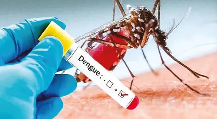 গত সাতদিনে আক্রান্ত ১২ জন, বীরভূম স্বাস্থ্যজেলায় বাড়ছে ডেঙ্গু আক্রান্ত
