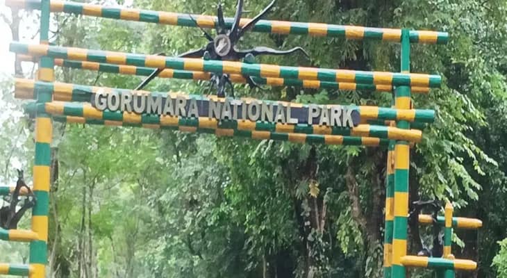 বন্যপ্রাণীদের খাবার ও মানুষের কর্মসংস্থান, দুই কাজই অভিনব উপায়ে হচ্ছে গোরুমারা ও জলদাপাড়ায়