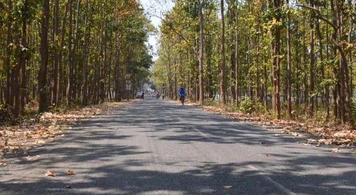 আপত্তিকর ছবি ভাইরাল হওয়া ঠেকাতে এনসিআরপি পোর্টালে অভিযোগে জোর