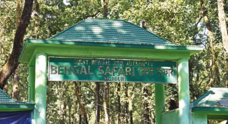 পুজোতেও খোলা থাকবে বেঙ্গল সাফারি, নামবে অতিরিক্ত গাড়ি