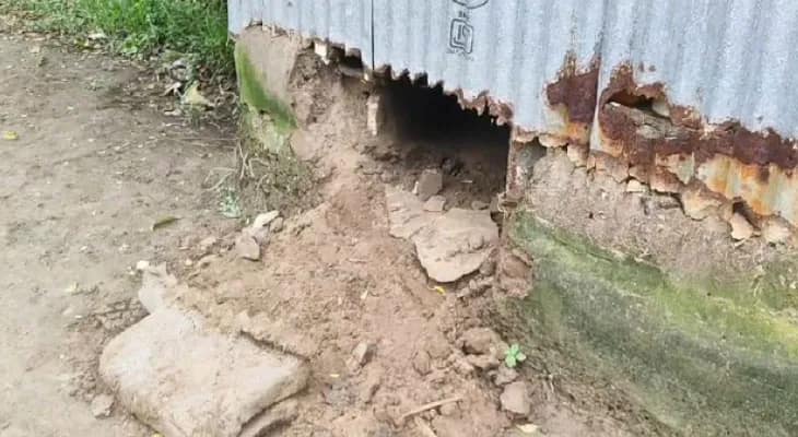 ইসলামপুরের গুঞ্জরিয়ায় একই রাতে পাঁচটি বাড়িতে চুরি, চাঞ্চল্য
