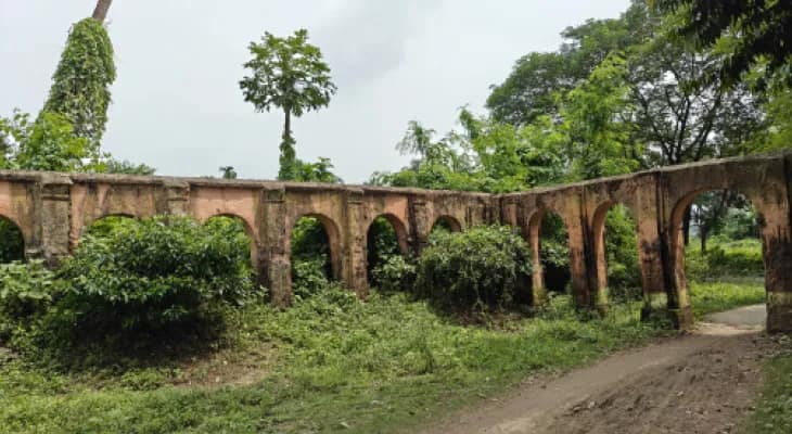 ৮০০ বছরের প্রাচীন দুর্গোৎসব, ‘রাজু’র আগমনের পরই জাঙ্গিপাড়ায় ভাঙা দালান বাড়ির দুর্গা আরাধনা শুরু