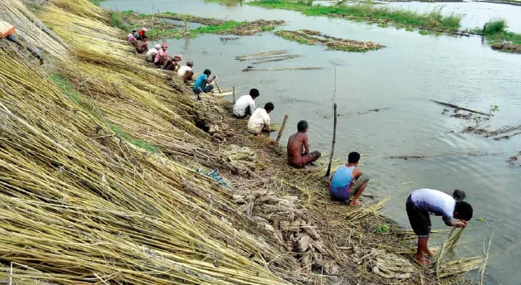 পাটের দাম চড়া, খুশির হাওয়া স্বর্ণশিল্পে