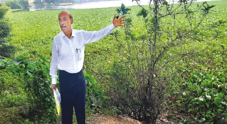 ফের মাছের মড়ক সাহেব বাঁধে, পরিবেশবিদের দূষণ নিয়ে মামলার হুমকি